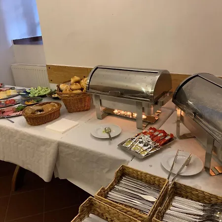 Zamek * نيدزيتسا